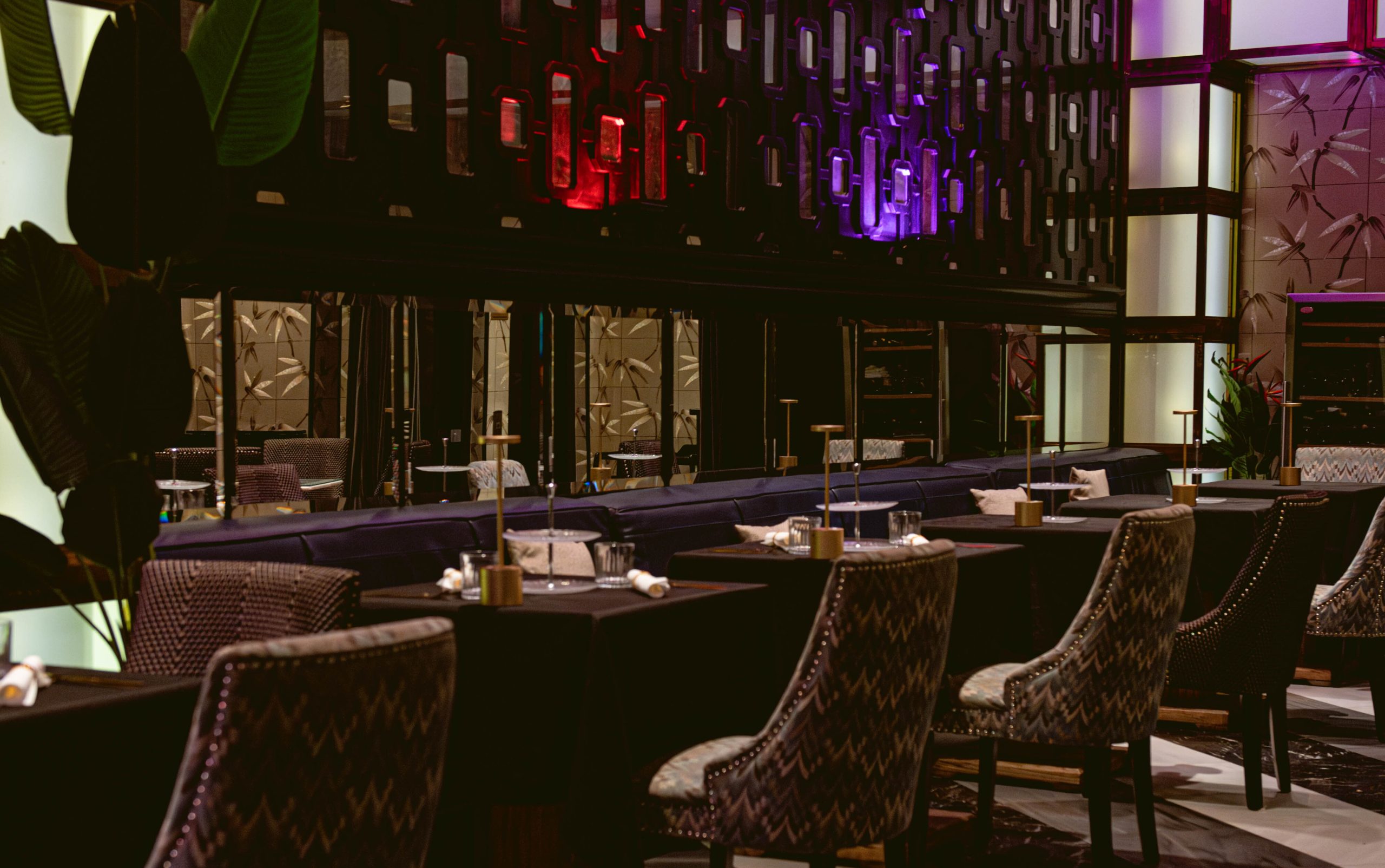 AF-vibra-160625-2 (1)